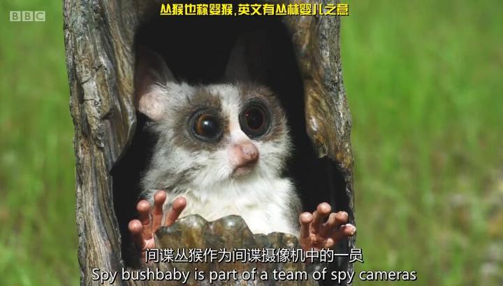 短篇结构婚房两家人